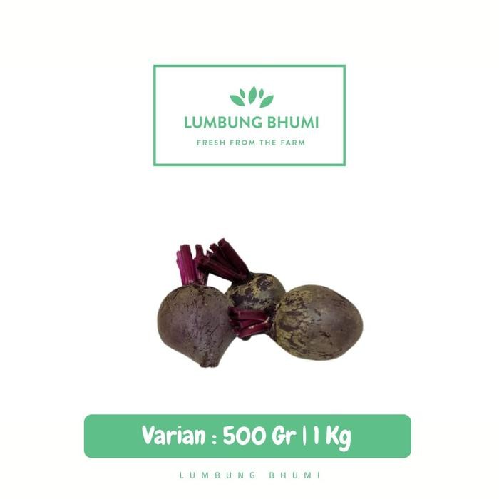 

New Buah Bit Root Sayur - Lumbung Bhumi