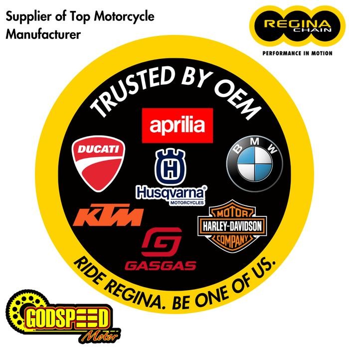 RANTAI REGINA 525 124 HPE Z RING Z-RING GOLD ZX10R H2R R6 CBR600 R1 R1M GSXR AFRICA TWIN F900 F850