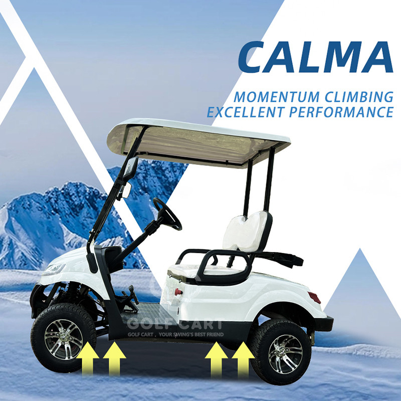 2024 Hot Sale Golf Cart New Model Lithium Battery Golf Car Buggy Electric Street Legal Golf Cart for