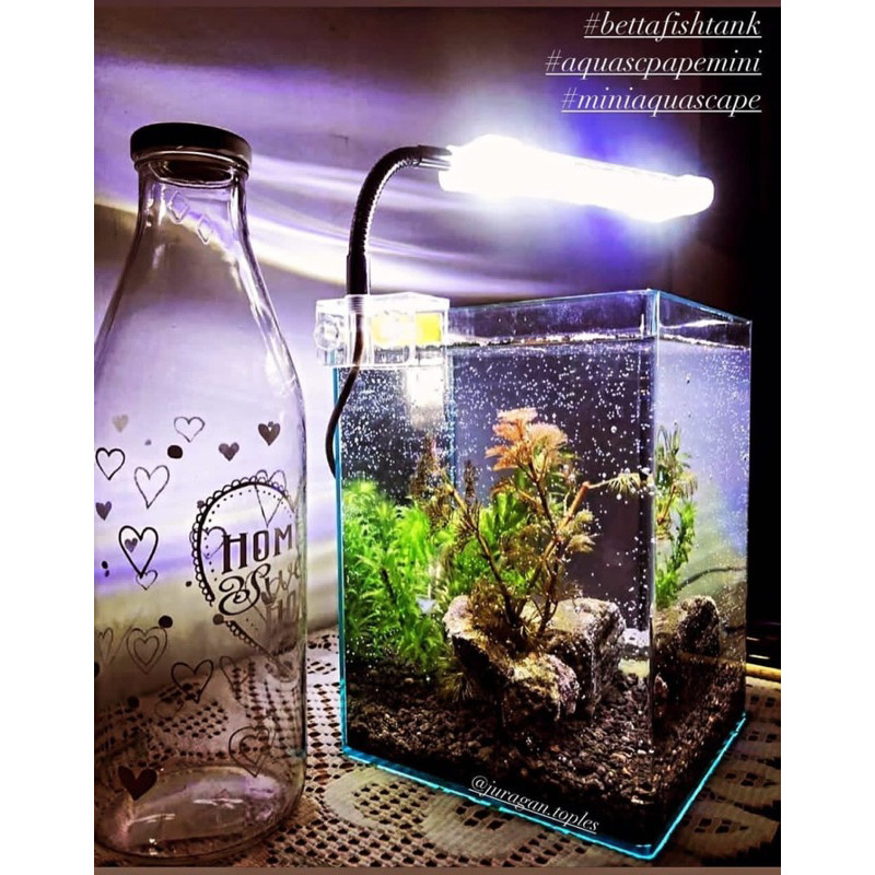 Soliter Akrilik Juragan Toples Cupang 2 Liter Juragan Toples Akrilik Injection Tanpa Sambungan