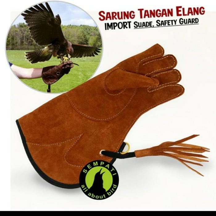 HOT SALE anklet celepuk+ sarung tangan elang glove