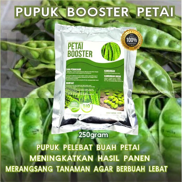 

Pupuk Booster PetaiPelebat Buah Pupuk PetaiPelebat Petai Mikro Booster *