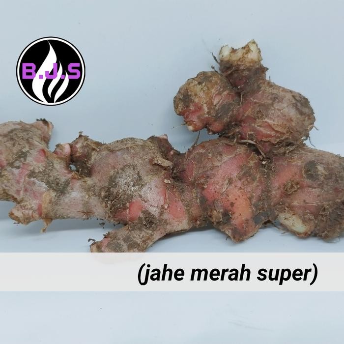 

New jahe merah super 1kg