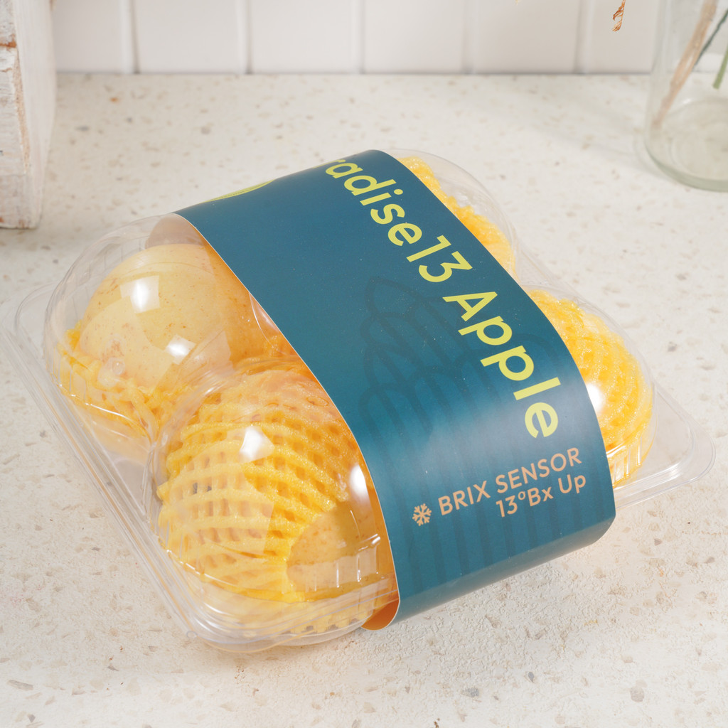 

Wangshan Apel Paradise Impor Impor 1 pack