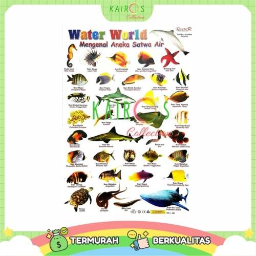 

HOT SALE! Poster Edukasi Anak Belajar Ikan Water World Karton Sekolah Stationery