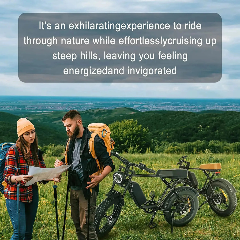 C91 1000W Electric Bike 48V 17.5Ah 20*4.0 Fat Tire 50km/h Mountain Beach Moped EBike Aluminum Alloy 