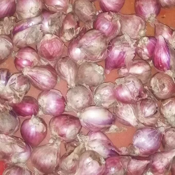 

PROMO!!! BAWANG MERAH SUPER CAMPUR 1 KG