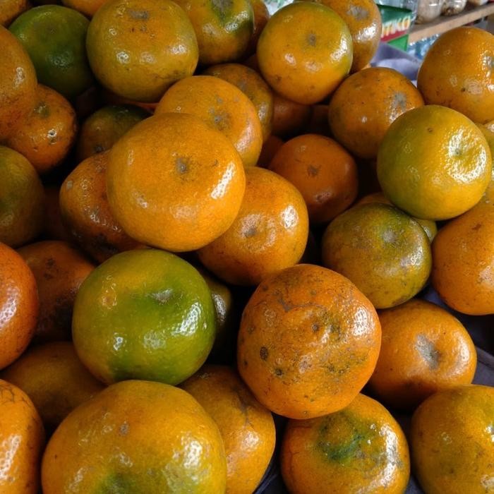 

Terlaris Jeruk Medan Diskon