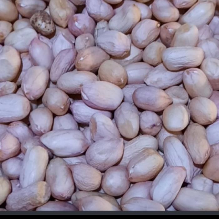 

PastikanTerjaminMutunya- KACANG TANAH SUPER ( MENTAH) 1 kg