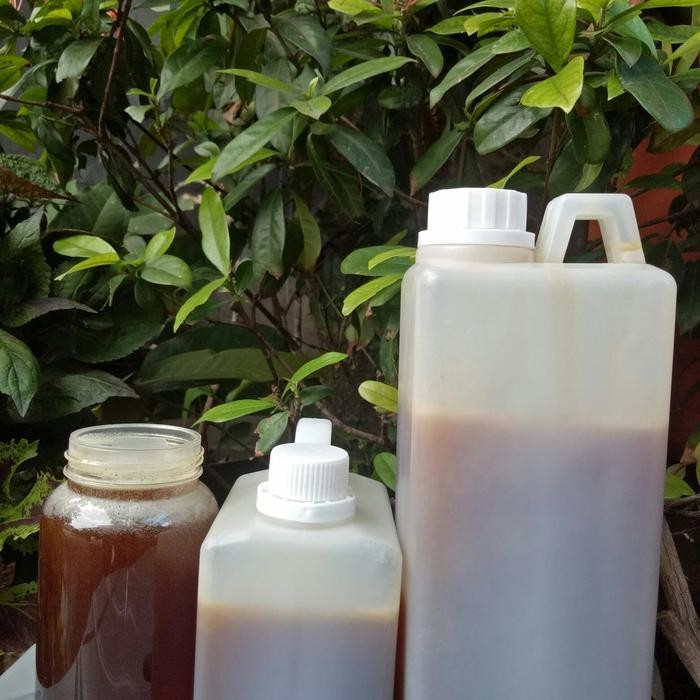 

BnyKpilihAnSkrG- madu hutan sumatra sialang 1kg murni