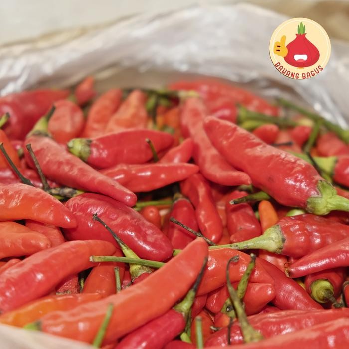 

BnyKBonusBelidiMari- Cabai Rawit Merah/Cabai Rawit/Cabai Rawit Setan 250gr - Bawangbagus