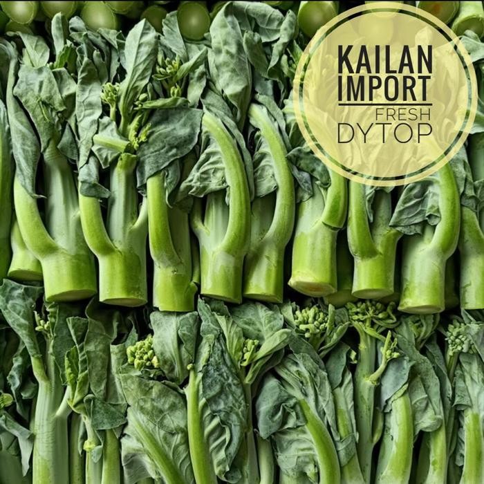 

BnyKBonusBelidiMari- Sayur Kailan Import Fresh Segar - 500 Gram