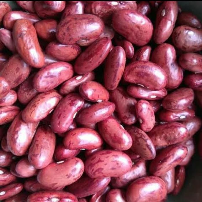 

BnyKBonusBelidiMari- kacang merah kering