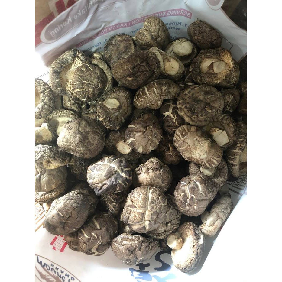 

BnyKBonusBelidiMari- Dried Mushroom / Jamur Hioko / Jamur Payung 100gr