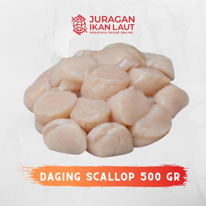 

PastiFreShNya- Daging Scallop Kerang Kampak Segar Berkualitas - 500 Gram