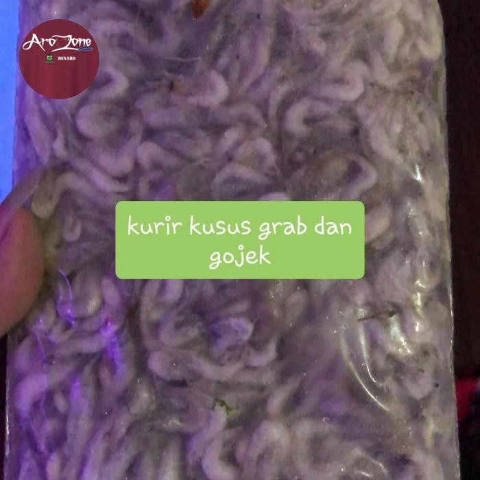 

PastiFreShNya- Udang beku air tawar 500gr