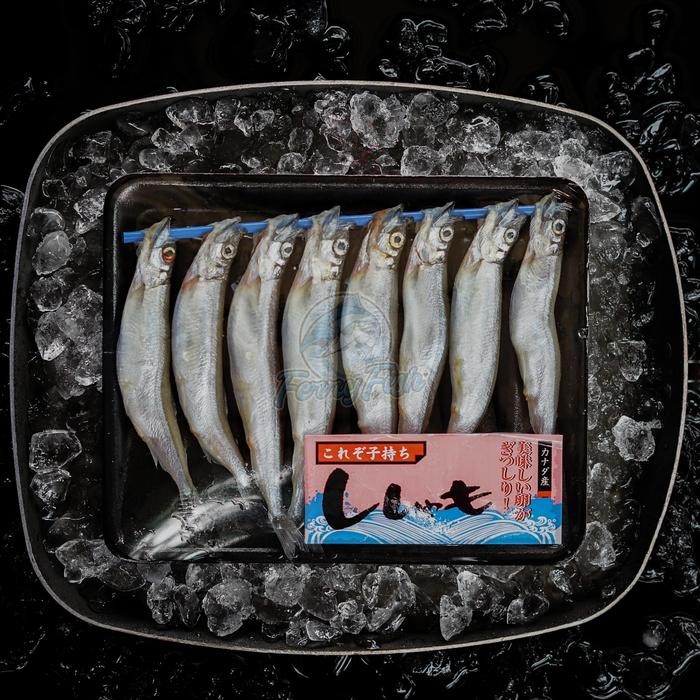

PastiFreShNya- Shishamo Fish / Capelin Fish Premium Import