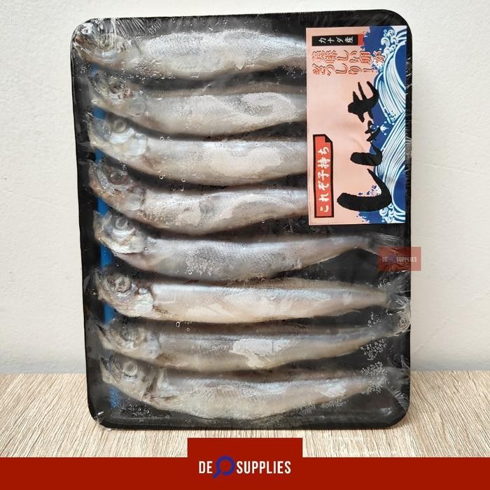 

BnyKBonusBelidiMari- Ikan Shisamo Fish Capelin Cipung 8 ekor - Premium Besar & Telur Fresh