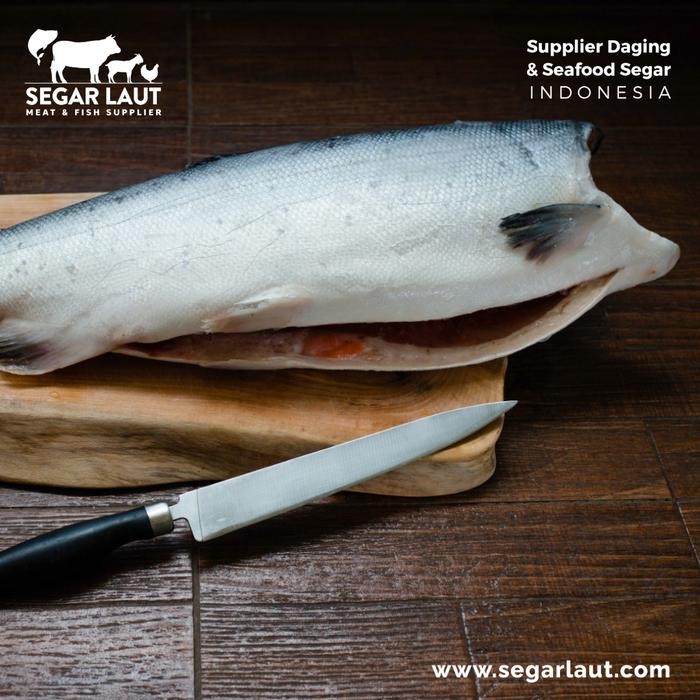 

PastiFreShNya- Salmon Coho Headless Frozen Fresh Salmon Pasifik