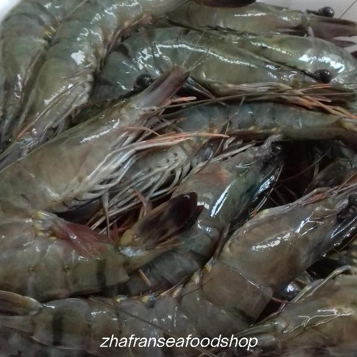

PastiFreShNya- udang pancet ak 40-45