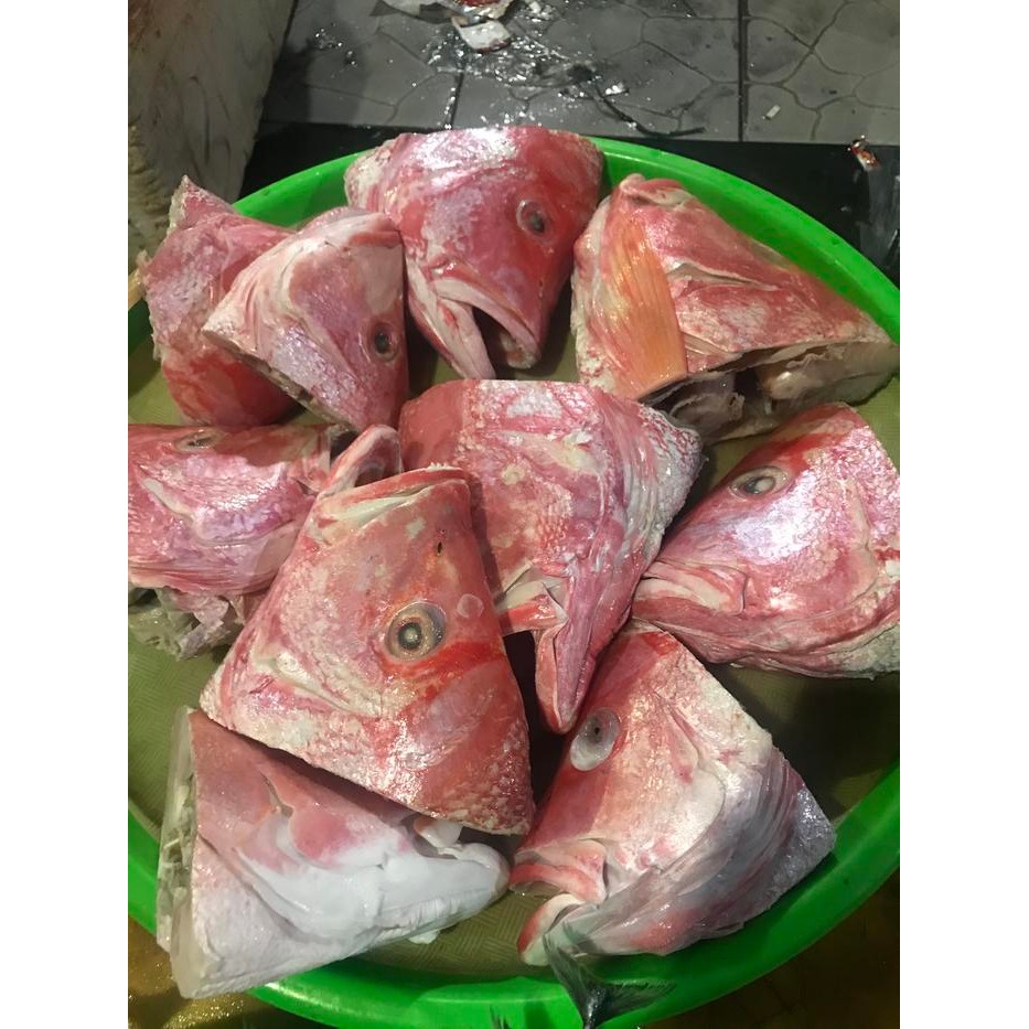 

PastiFreShNya- Kepala Ikan Kakap Merah Segar 1KG