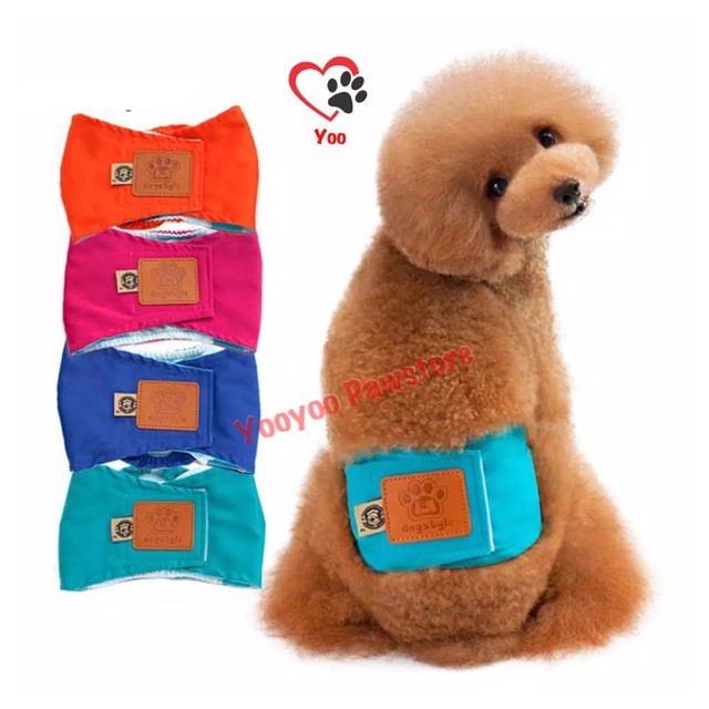Manner / belly belt anjing jantan