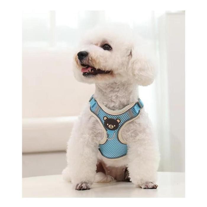 Tali anjing, Pengikat anjing dengan tali, Kancing anjing dan tali anjing dengan pengikat, Tali anak