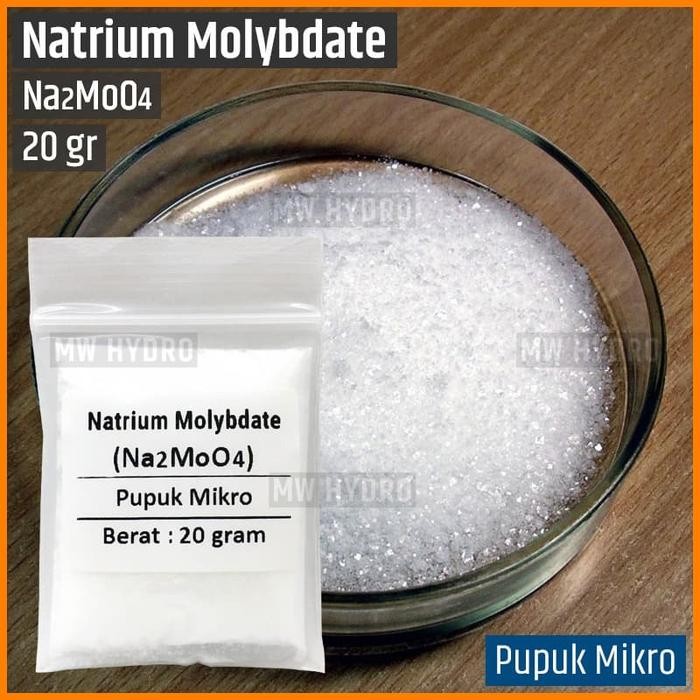 New Natrium Molybdate / Sodium Molybdate - 20 gr - Pupuk Mikro Hidroponik