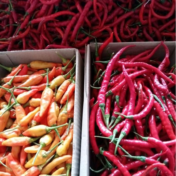 

New Campur RM dan CMK Segar Spices Pedas