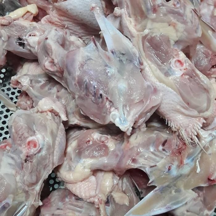 

New Kerongkongan / Tulang Punggung ayam Broiler Fresh dan Berkualitas