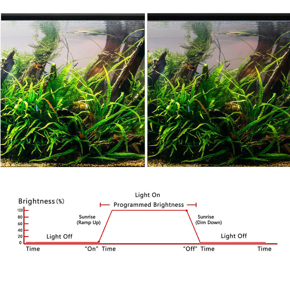 Aquarium Light Controller 4 Modes Sunrise Sunset Aquarium Dimmer Led Light For Fish Tank Lamp Timer