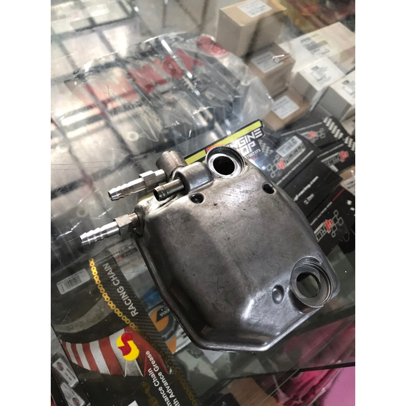 tutup head oil cooler genio / beat deluxe