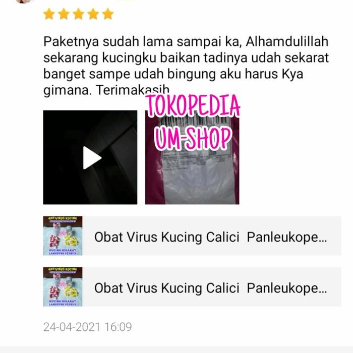 Obat Antivirus Kucing Calici Distaper Virus Panleukopenia