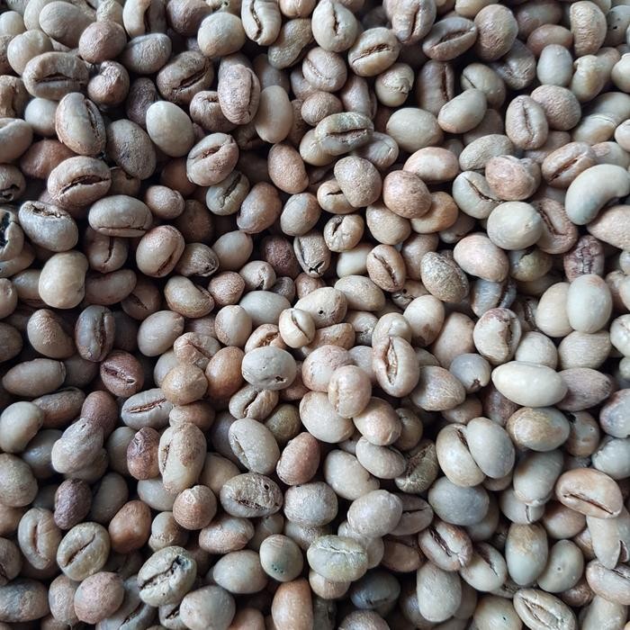 

Green Bean Peaberry - Kopi Lanang - Robusta