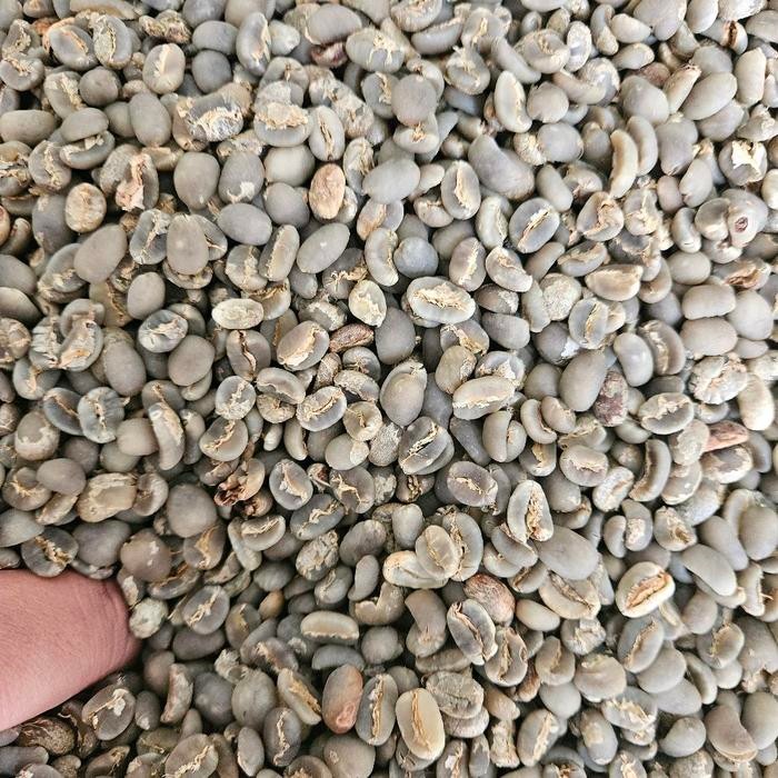 

Green Bean Arabica Lintong Specialty Semiwash