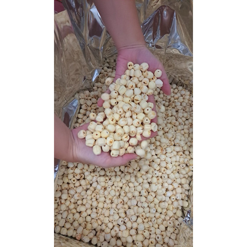 

Lotus seed Premium Lianzi biji teratai grade premium 250gr 500gr 1000gr 1dus