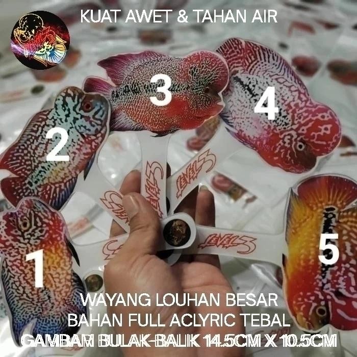 Pawretty- Wayang louhan wayangan untulan ikan louhan aclyric tebal besar