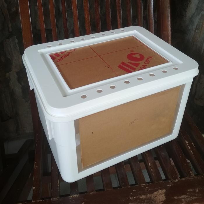 Pawretty- breeding box guppy/molly/cupang