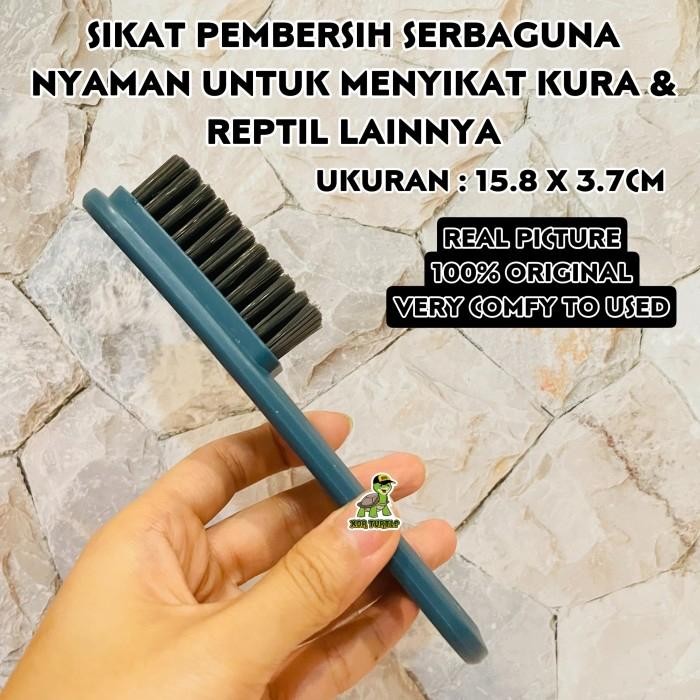 Meowz- SIKAT MEMBERSIHKAN KURA DARAT KURA AIR SULCATA PARDALIS ALDABRA CST