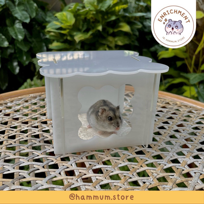 Rumah Hamster Syrian Akrilik Acrylic Syrian Hamster House Hideout Hamster