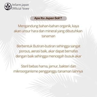 Japan Soil Media Tanam Lithops Secculent Kaktus Anthurium Monstera Philodendron Tanpa Tanah Siap