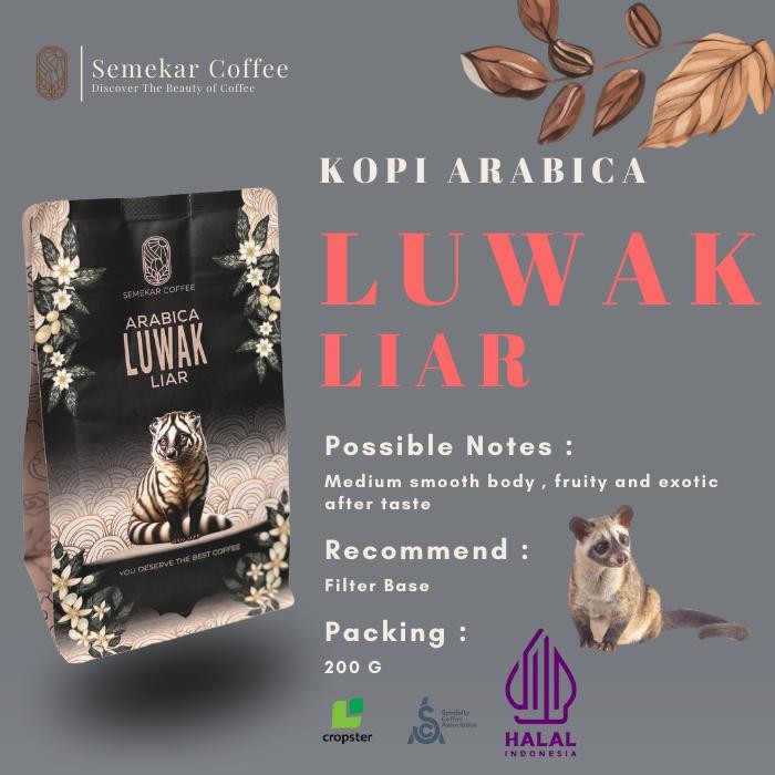 

Terlaris- Kopi Luwak Liar Arabica Aceh Gayo Coffee Asli Specialty Coffee Grade 1 Arabica Luwak Bubuk