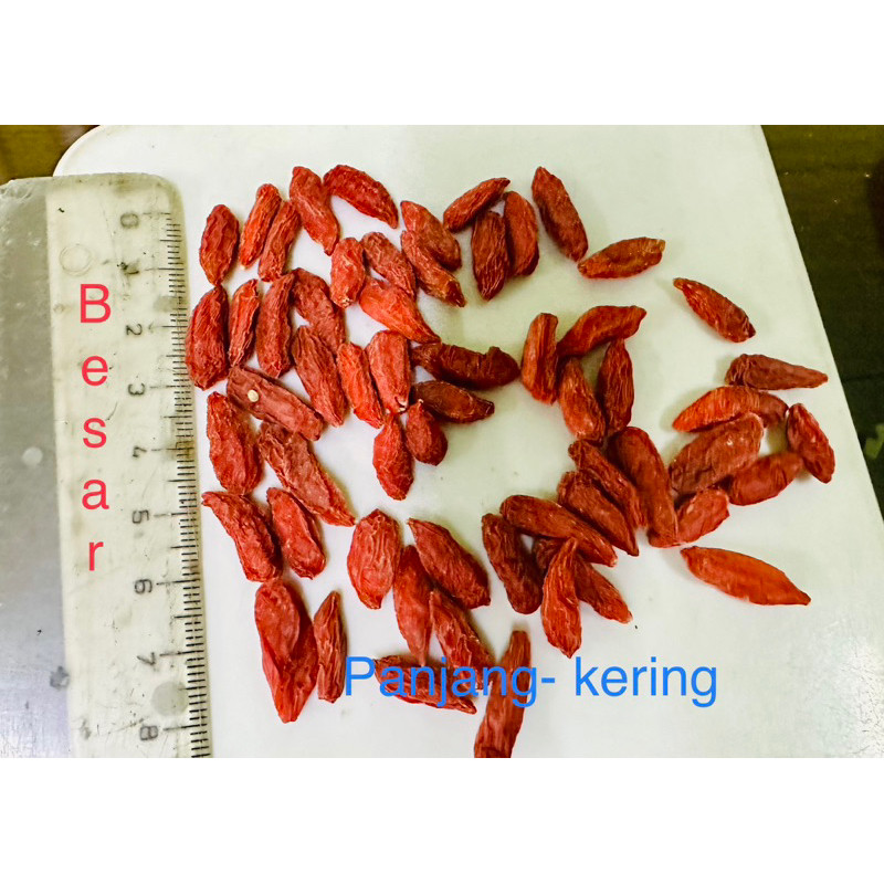 

kici goji berry besar original per500gr