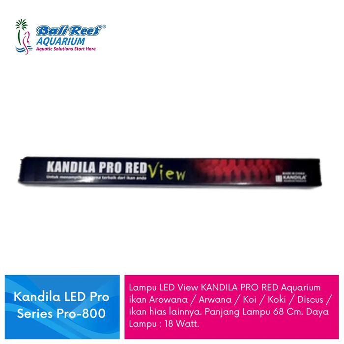 PREMIUM Kandila Lampu Tanning Arwana Super Red Pro Red View