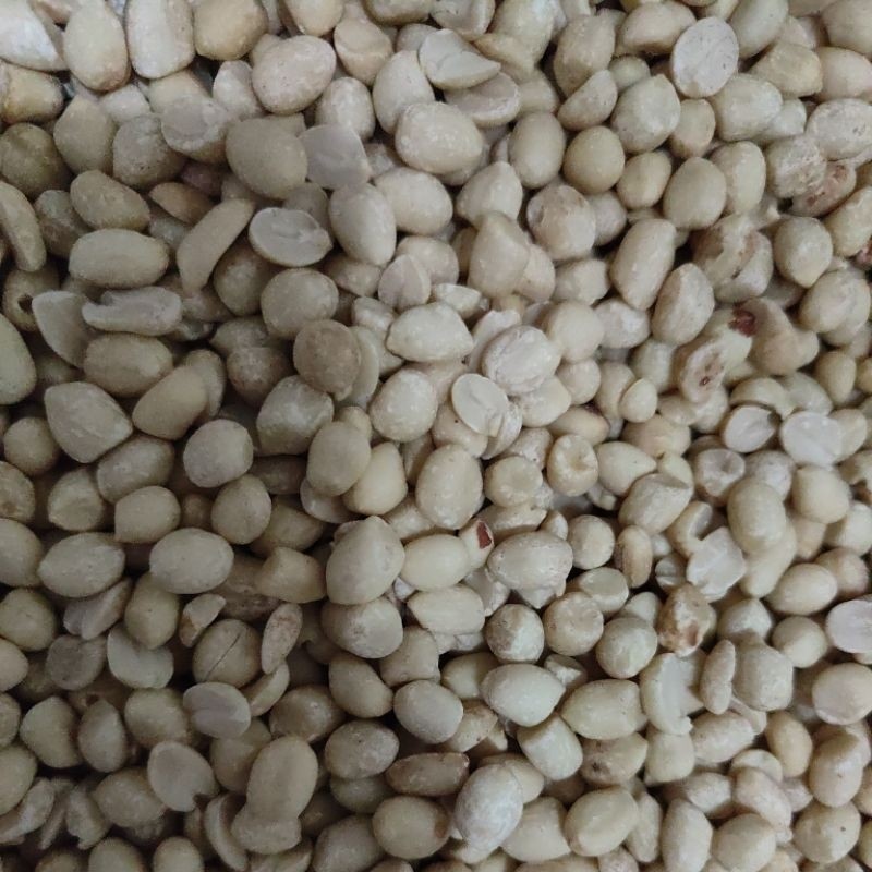 

kacang kupas mentah (KECIL) UK 61/71 Berat 1 kg / 1000gr