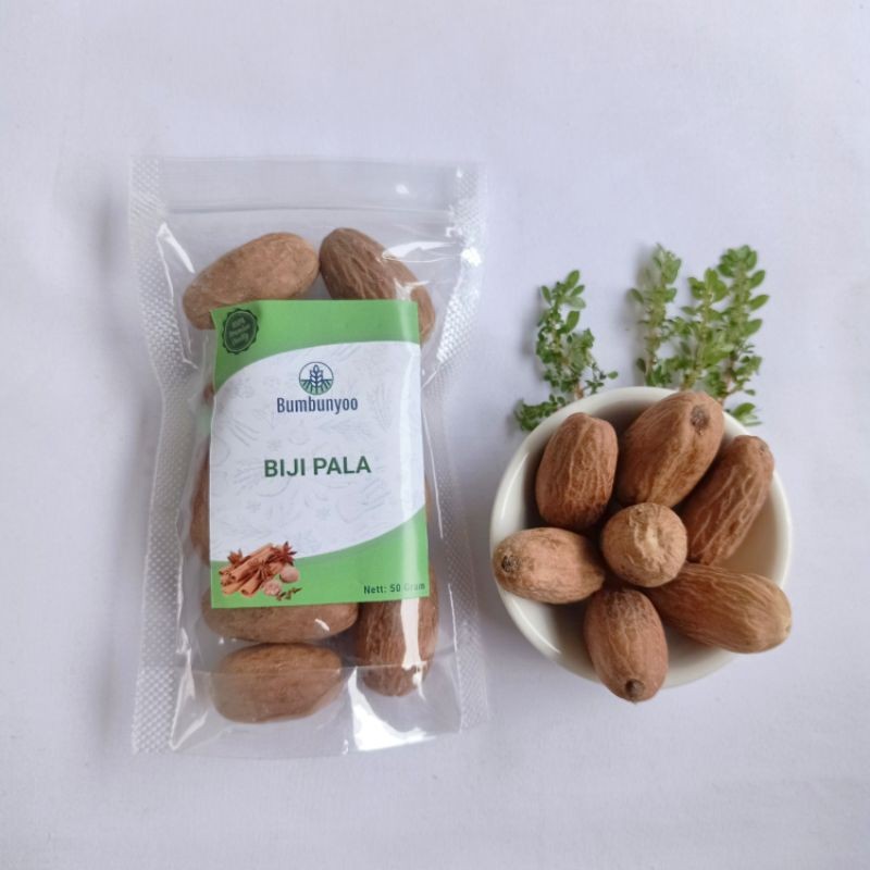 

Biji Pala 50 Gram Rempah & Bumbu Masak
