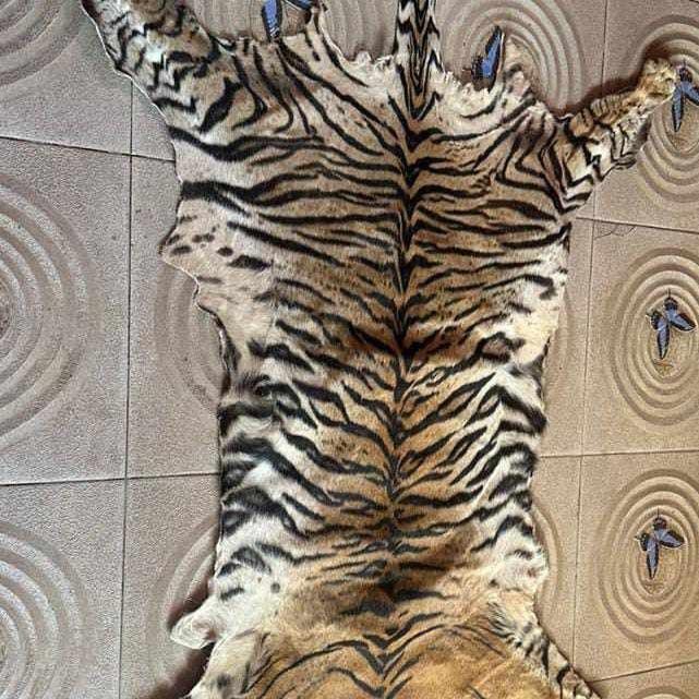 KARPET KULIT HM SULTAN ORI
