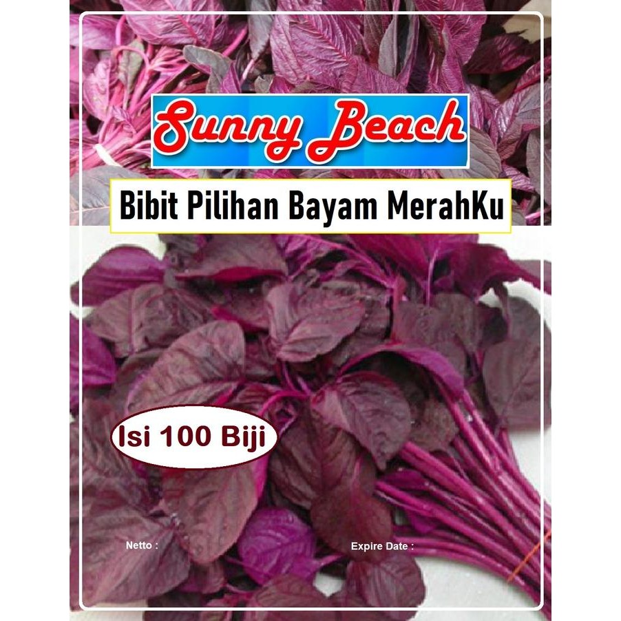 Bibit Pilihan Bayam MerahkuBiji Benih Bayam MerahSayur Bayam Merah