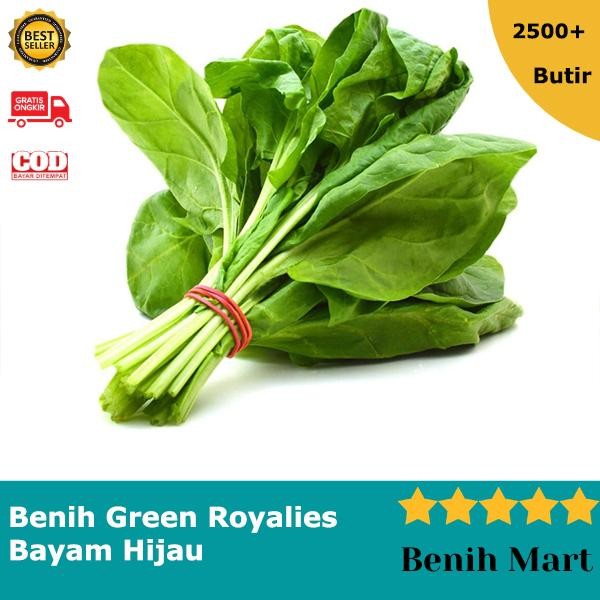 Benih Bibit Biji Sayur Bayam Hijau Green Royalies Import