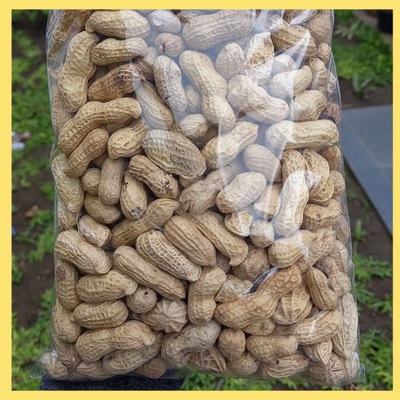 

Omahjajanan Kacang Kulit Sangrai